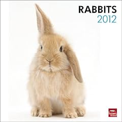 Rabbits 2012