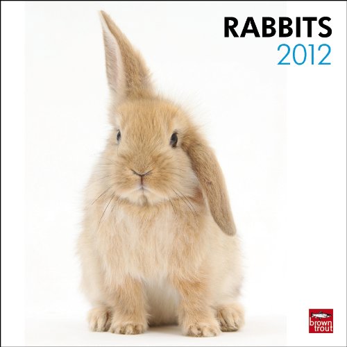 Rabbits 2012 Square 12X12 (Multilingual Edition)
