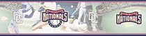 Washington Nationals MLB Prepasted Wall Border, 6-Inch-by-15-Foot