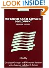 The Role of Social Capital in Development: An Empirical Assessment