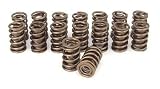 Competition Cams 954-16 Dual Valve Spring