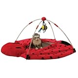 Marshall Ferret Bed Bug Play Center