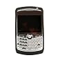 Blackberry Skin for Blackberry Curve (Black)