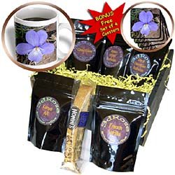 Lee Hiller Hot Springs National Park Wildflowers - Wildflowers Birds-Foot Violet 3 - Coffee Gift Baskets - Coffee Gift Basket
