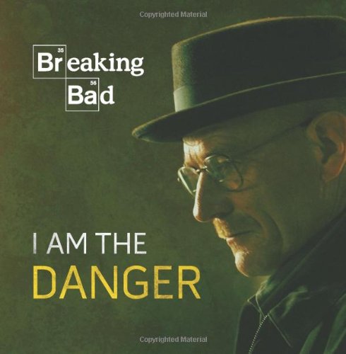 breaking bad i am the danger
