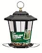 peanuts for birds