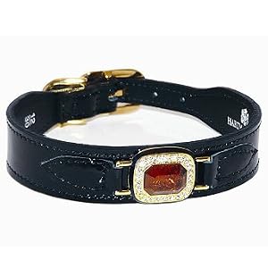 Haute Couture Dog Collar - 14" - Frontgate