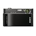 Sony Cyber-shot DSC-T900 12.1 MP Digital Camera with 4x Optical Zoom and Super Steady Shot Image Stabilization (Black)