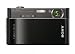 Sony Cyber-shot DSC-T900 12.1 MP Digital Camera with 4x Optical Zoom and Super Steady Shot Image Stabilization (Black)