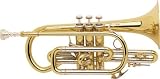 Cornets