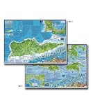 Franko Map Guide to U.S. Virgin Islands St Croix, St Thomas, St John Scuba & Fish ID Card