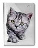 Cat, Lady-Timer 2012