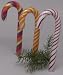 Sugar-Free Natural Candy Canes - 3 pack