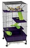 My First Home 2'x2' Multi Floor Cage And Stand