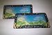 Walt Disney Tinkerbell Tink Car Auto SUV RV Pair of License Plate Frames
