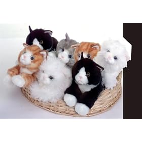 Kitten 20cm - Black and White Cat