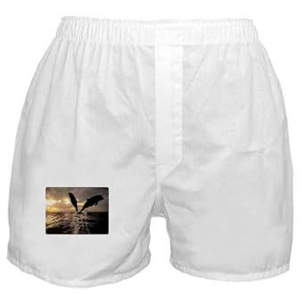 Artsmith, Inc. Boxer Short (Shorts) Dolphins Flying in Sunset