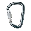 Petzl William Locking Carabiner Petzl William Locking Carabiner