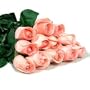 Two Dozen Long Stemmed Premium Pink Roses