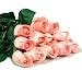 Two Dozen Long Stemmed Premium Pink Roses