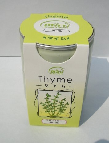 幅広い香料をもつ「タイム」＜ハーブ缶＞