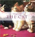 Images of the cat