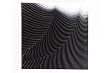 Carmen Vetter: Fading Gray #8