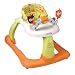 Kolcraft Step Starter 2-in-1 Walker - Woodstock