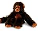 Deluxe Long Arm Chimpanzee 50cm (SW3691BL)