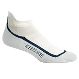 Icebreaker Bike Run Lite Micro Sock at Icebreaker