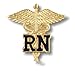 EMI Rn Registered Nurse Emblem Pin Caduceus