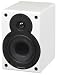 Scansonic S5 2x50 Watt Aktiv Lautsprecher - ideal für iPod, iPhone, Mp3, Computer oder Spielkonsole - Hochglanz weiss