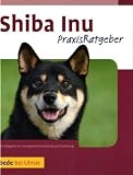 Shiba Inu