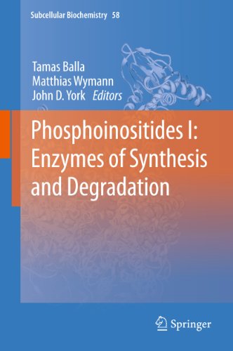Phosphoinositides I: Enzymes of Synthesis and Degradation: 58 (Subcellular Biochemistry)