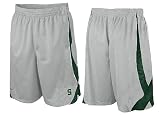 Nike Michigan State Spartans College 10 Inseam Grey Fly High Durasheen Shorts