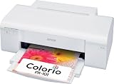 EPSON Colorio ���󥯥����åȥץ�󥿡� PX-101 4����������