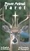 Power Animal Tarot by AGM Urania