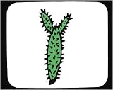 Mauspad mit Dekoration - spiny, Pflanze, United States, Wasser, südwestlichen Wüste, Sukkulenten, Cactus, stachelig, leafless, dornig