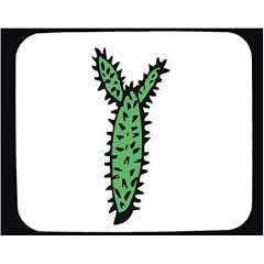 Mauspad mit der Grafik: Sukkulenten, stachelig, Pflanze, leafless, "Vereinigte Staaten", dornig, spiny, Wasser, Cactus, "s�dwestlichen W�ste"