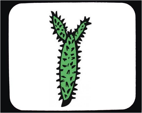 Mauspad mit Dekoration - spiny, Pflanze, United States, Wasser, südwestlichen Wüste, Sukkulenten, Cactus, stachelig, leafless, dornig