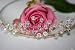 Wallmonkeys Peel and Stick Wall Decals - Rose Tiara - Removable Graphic