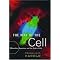 Systems Molecular Biology