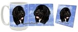 Newfoundland Mug & Coaster Gift Box Combo - Dog/Puppy/Canine Edition Beverage Drinkware