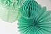SUNBEAUTY Mint Series Mint Green Tissue Paper Pompom Paper Fan Mint Honeycomb Ball and Mint Green Paper Lanterns Pack of 4