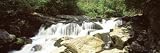 River Flowing through the Forest, Chattooga River, Nantahala National Forest, North Carolina, USA Photographic Poster Print by Panoramic Images , 40x120