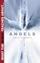 What the Bible Teaches about Angels