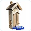 Butterfly Feeders