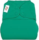 flip Cloth Diaper Cover - Snap - Hummingbird - One Size