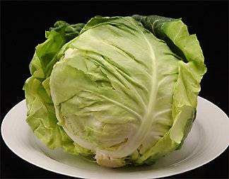 キャベツ 千叶県产?神奈川产?群马产 他 8玉入