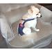 Joybies Durable Denim Piddle Pants(tm) for XX Small Male Dog (Measuring 9-11 from Collar to Base of Tail)